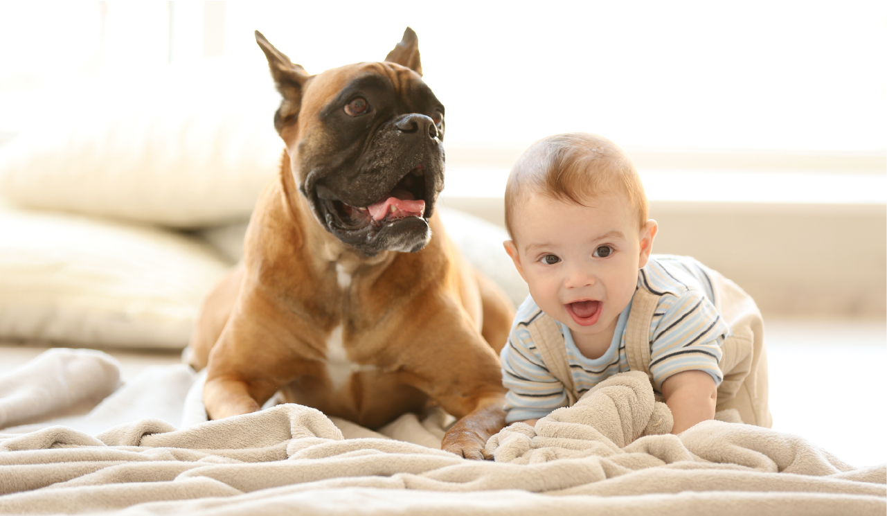 Baby (And Pet) Proofing Your New Home featured image