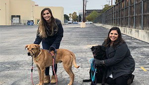 San Antonio Pets Alive